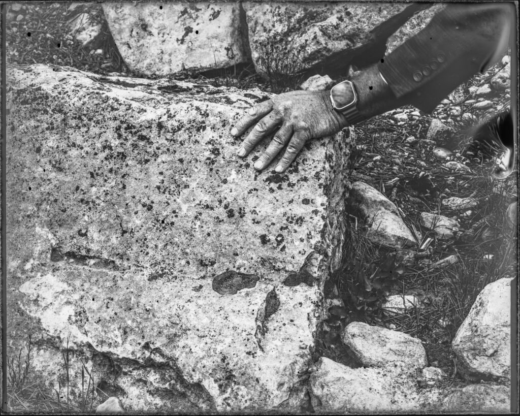 Where Moss Remembers