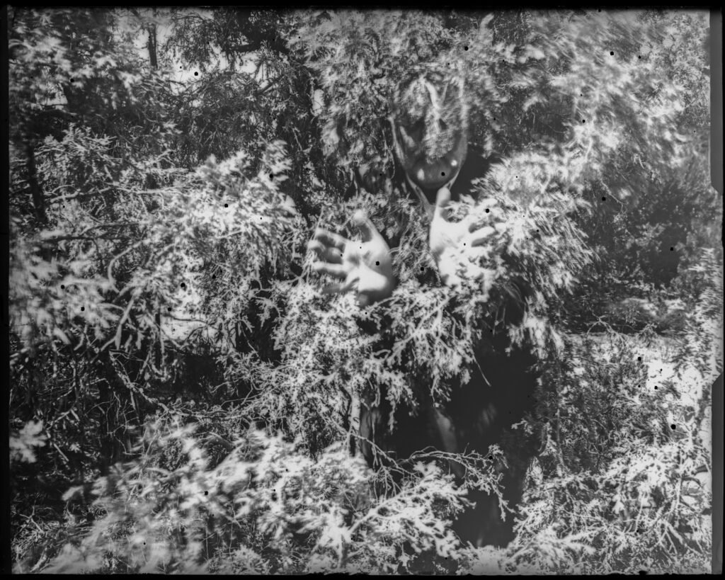 Protection, Complexity and Interconnectedness